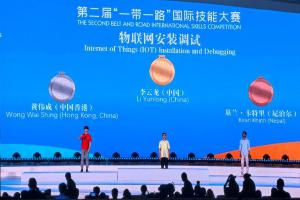 The 2nd "Belt and Road" International Skills Competition | Silver Medal Winner 